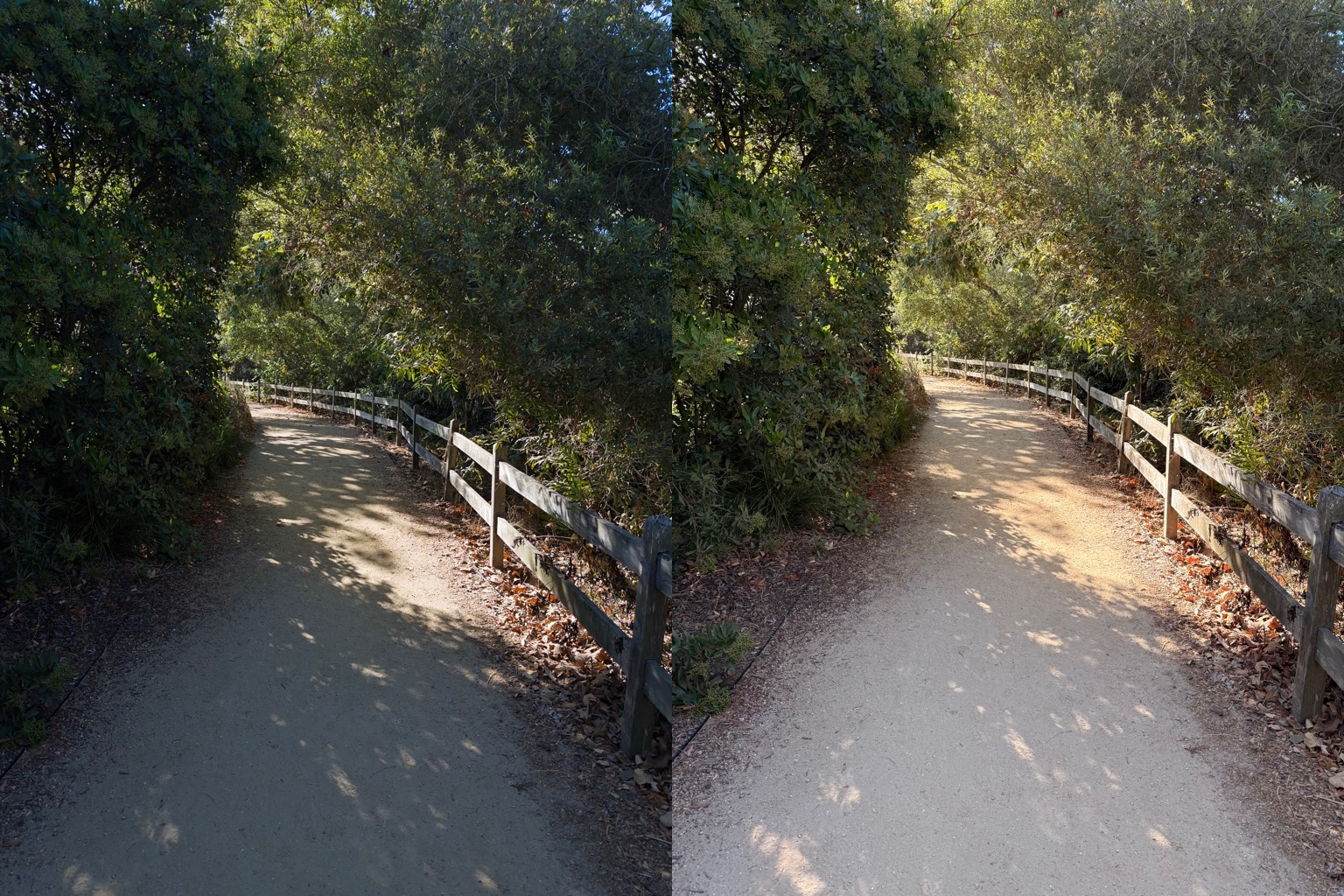 shadow_path – Six Colors